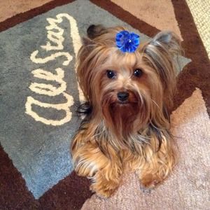 Meet your Posher, Mrs.